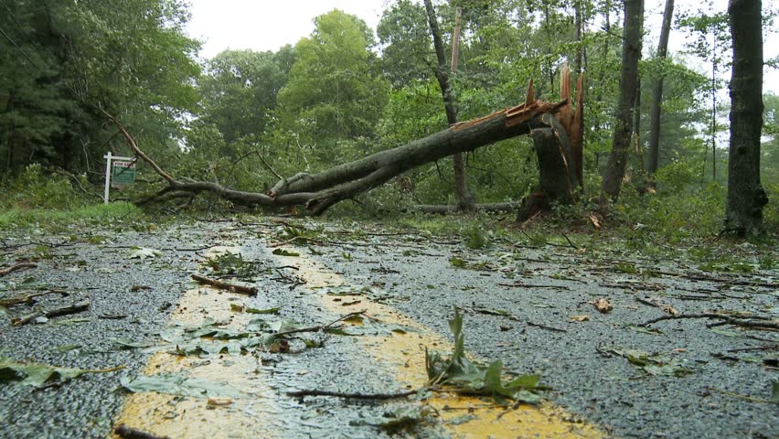 NEW ENGLAND - CIRCA SEPTEMBER 2011: Storm damage -- large shattered tree trunk blocking country road - low angle POV moving