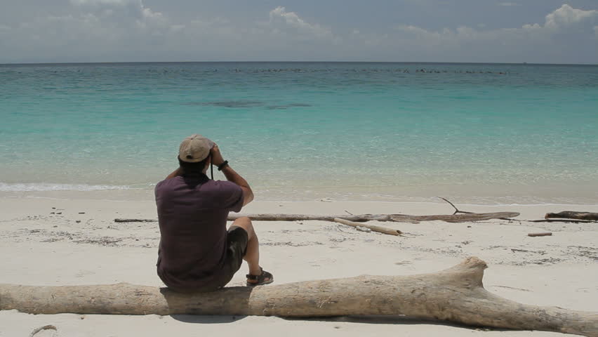 Birdwatching, Las Perlas archipelago, Panama, Central America