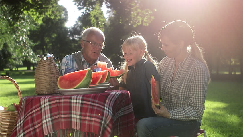 Senior man, woman and girl having a picnic