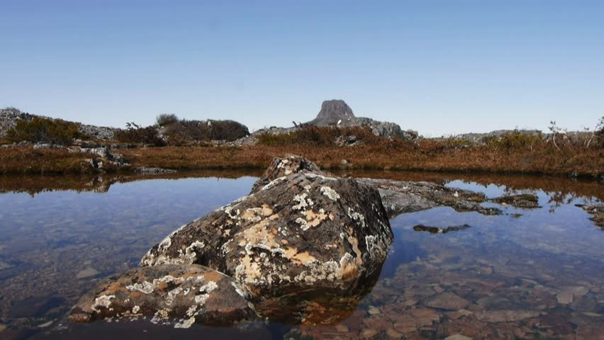 a dolly shot of a large lichen covered rock in a high mountain tarn in tasmania's cradle mountain national park with frogs croaking