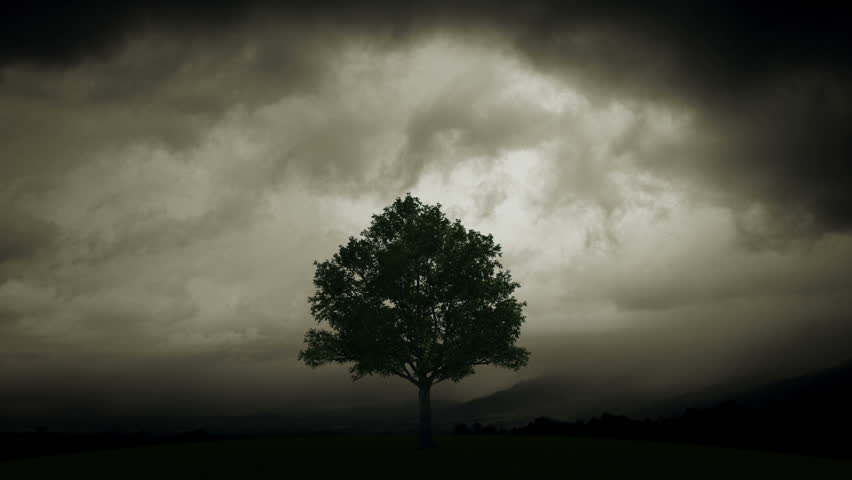 Lightning burns a tree