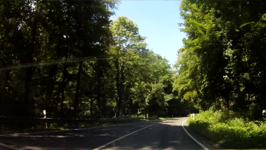 footage of a onboard camera, driving in a forest in germany,