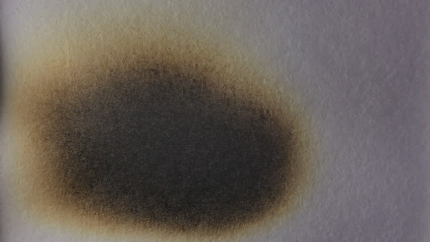 Burning paper. Macro.
