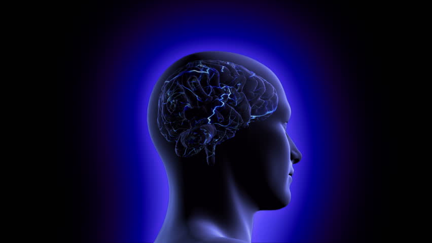 Brain Video
*1080p resolution stock video brain inside a man's head showing neuron activity increase then camera pans around and into the head
