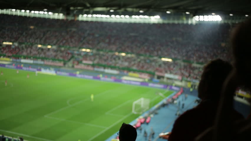 Soccer fans in stadium