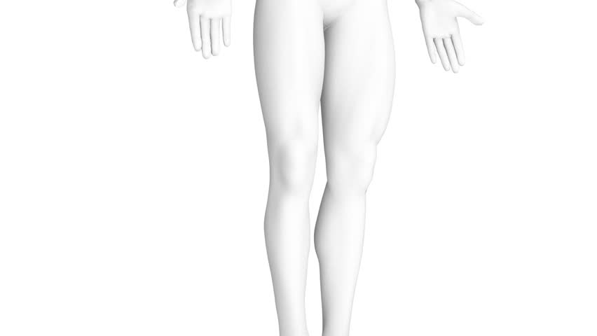 Knee anatomy rotated in detail