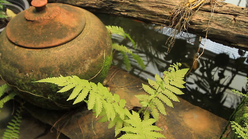 Moss on the jar, terracotta.