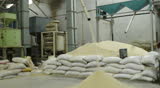 white rice being filtered and separated from impurities in Rice mill.