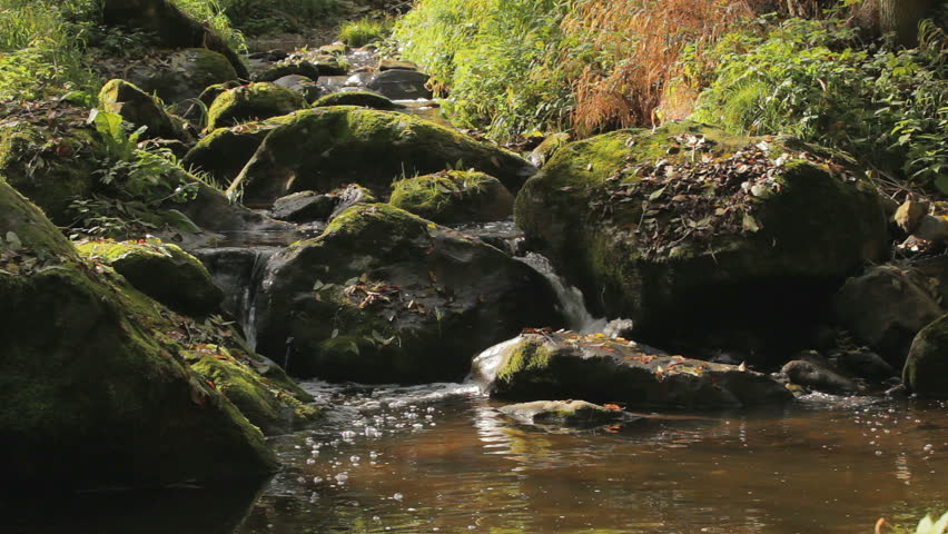 Falls on the small mountain creek