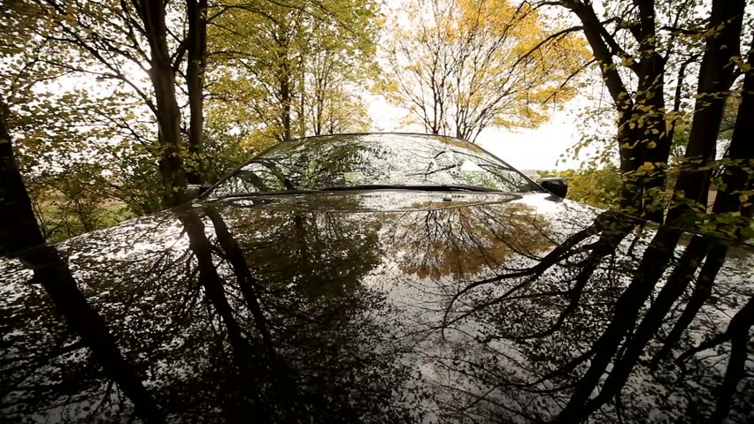 Timelapse pov on-board-camera on a hood of a car driving through a forest. 