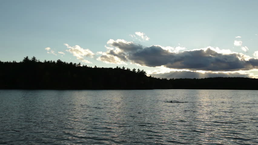 A person swims on Walden Pond in Concord, Massachusetts on a chilly October Morning