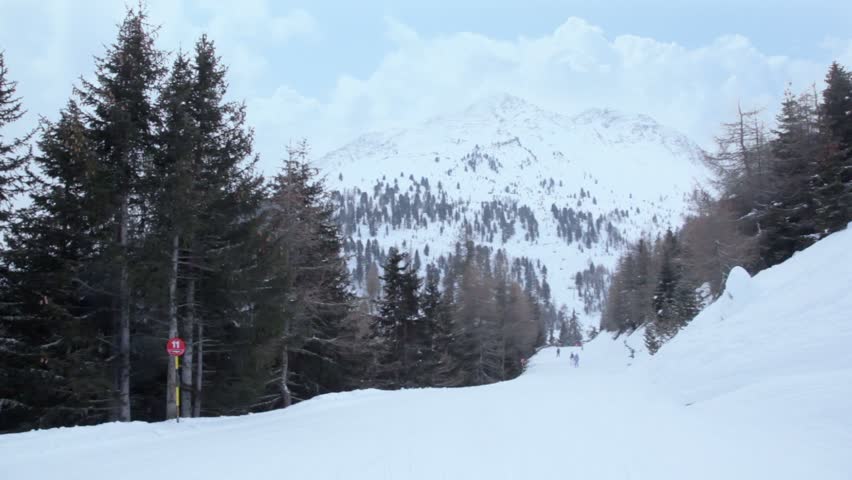 Several people ride ski by snow slope among forest at mountains, view from behind