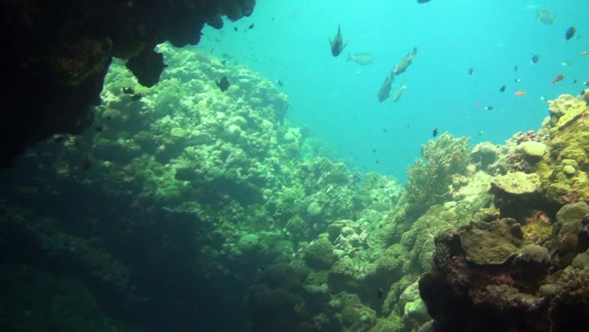 Camera swim through a coral cave on the great barrier reef. Australia.