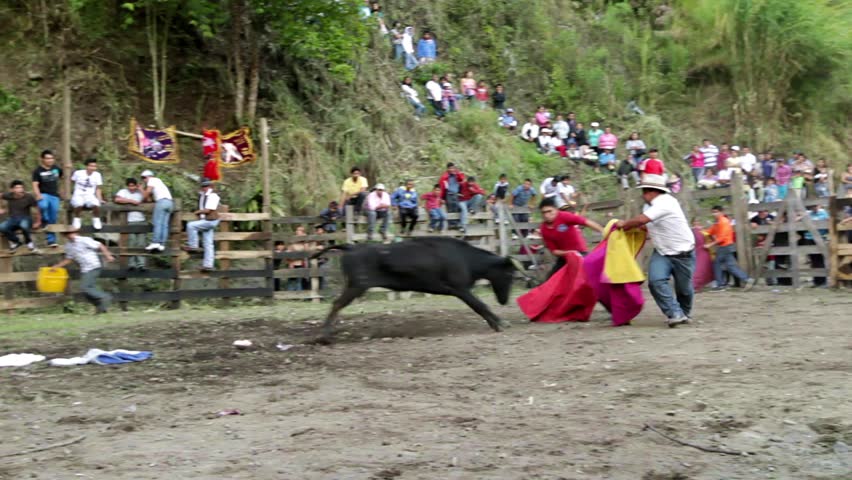 BANOS DE AGUA SANTA,ECUADOR - 28 OCTOBER 2012:Improvised bullfights for the city ceremony gives people the opportunity to try out their skills in bullfighting