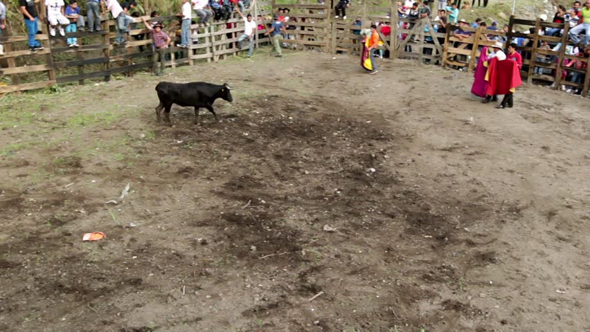 BANOS DE AGUA SANTA,ECUADOR - 28 OCTOBER 2012:Improvised bullfights for the city ceremony gives people the opportunity to try out their skills in bullfighting