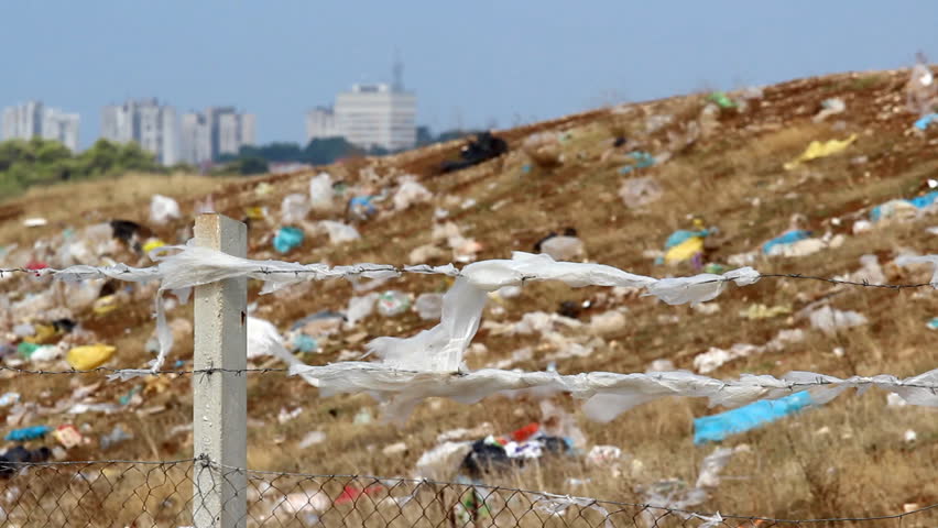 On city outskirts

Description: View on residential blocks from the landfill

