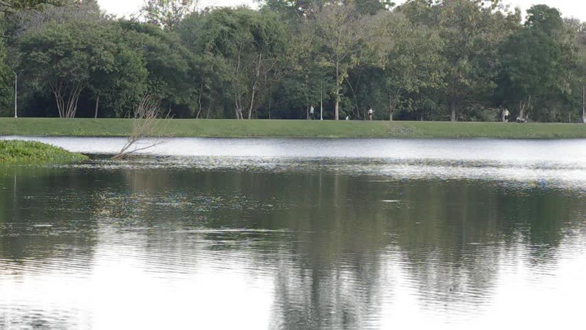 A movement of water surface in the reservoir in the park 
