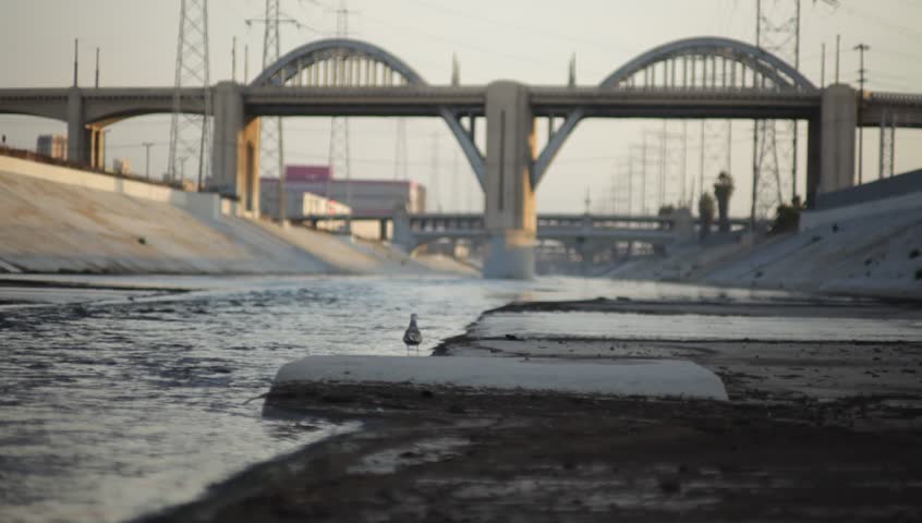 Los Angeles River 6th St Bridge 1 - Daytime - Shot near downtown LA with the iconic 5th St Bridge in the background. A seagull flies off in the mid ground.