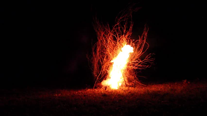 Bonfire burning  trees at night,Bonfire burning brightly , heat, light,camping,big bonfire