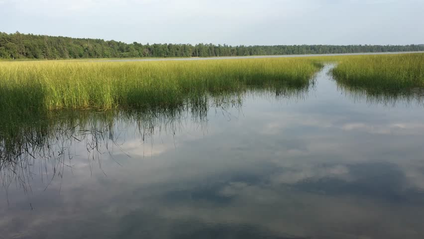 Start Of The Mighty River At Lake Itasca State Park Minnesota Image