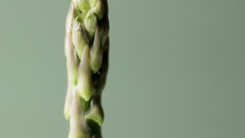 Asparagus spear track up