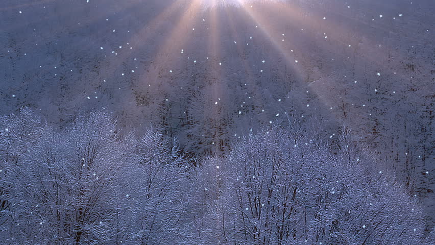 Winter Woods 2