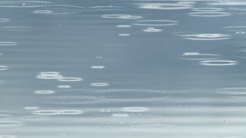 Gentle rain falling as if in slow motion, widely spread, leaving concentric ripple rings on the surface of a placid, blue gray lake in Alaska.