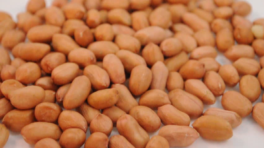 groundnut seeds falling on white  background