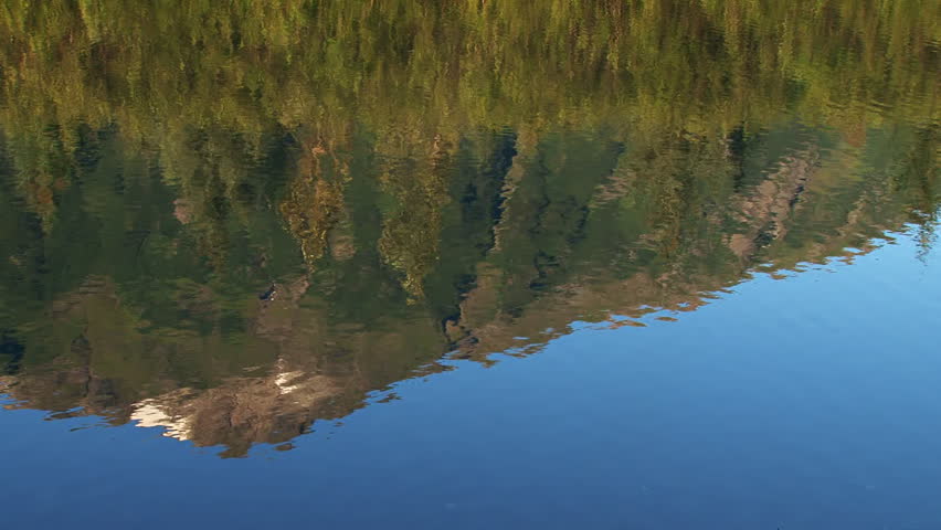 Reflection of a forested Alaskan mountain in the gently rippling waters of a lake in summertime.