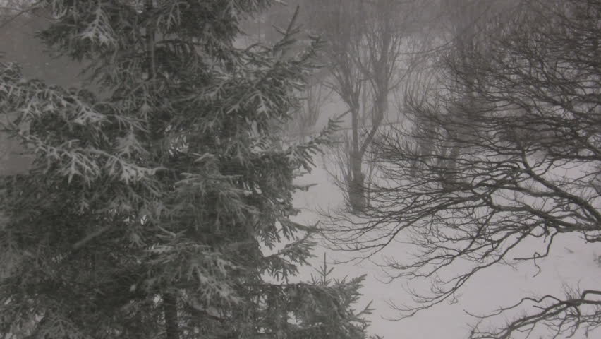 landscape under a heavy snow