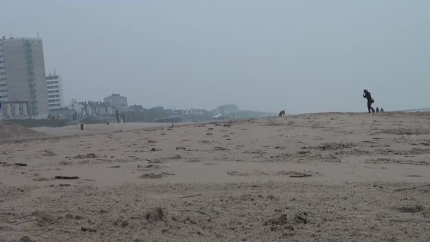 At the beach a dog and a woman walk