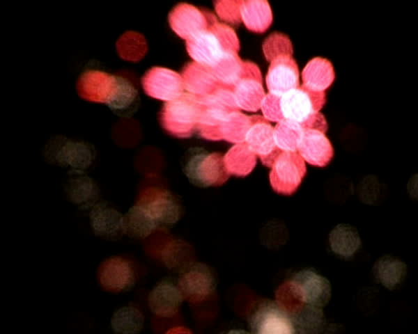 Firework Particles Series 