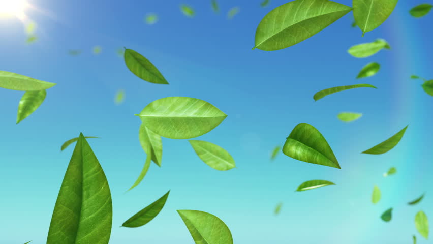 Beautiful Leaves flying in the sky with sun. HD 1080. Looped.