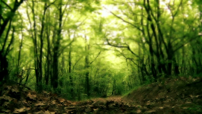 Man running away in the woods
