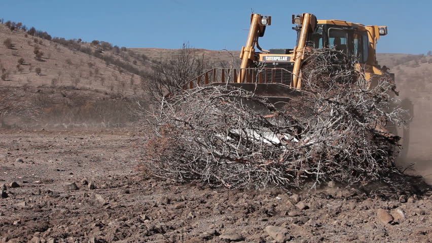 SANPETE COUNTY, UTAH OCT 2010: Environmental cleanup after devastating wildfire. Caterpillar bulldozer clears dead fire burned trees. Dragging chain between two machines. Trees killed and destroyed.