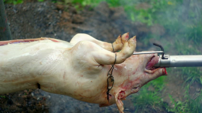 SUPER 35MM CAMERA - Pig on a spit. 
