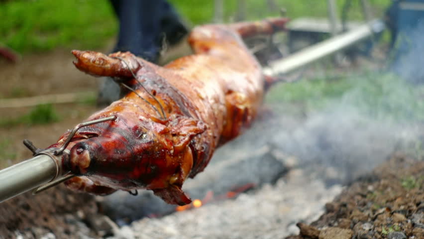 SUPER 35MM CAMERA - Pig on a spit. 