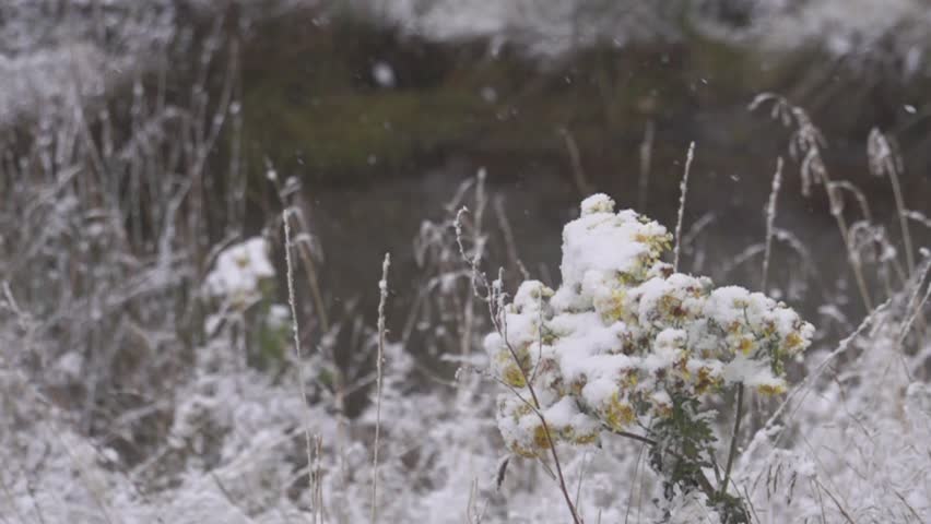 Snowing in Cairngorm, Scotland - slow motion closeup (1080p400 conformed to 1080p25)