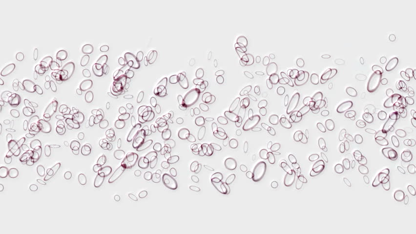 oval,egg,Bacteria,microbes,algae,cells,drugs,bubble,oxygen,hydrogen,underwater,ephemera,plankton