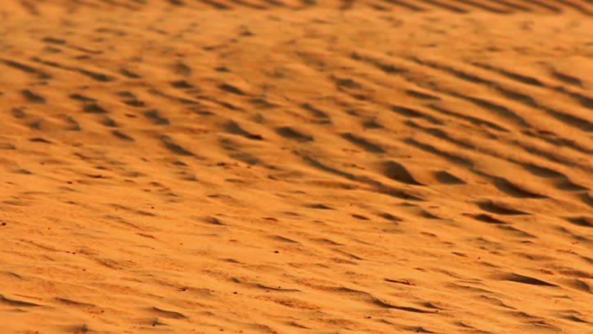 Golden sand dunes