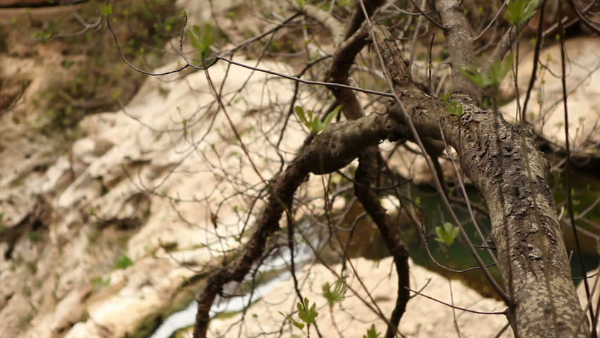 Small waterfall in forest with dry tree brunch in foreground