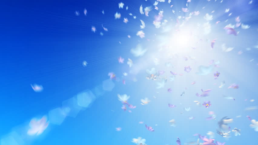3D flower twister in the sun. Perfect loop. Motion blur. Animated flare.