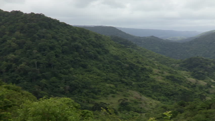 A wide pan of a valley of indigenous forest near Monteku, in the Transkei Eastern Cape, South Africa.