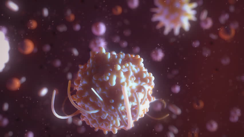The Microscopic World of Cells