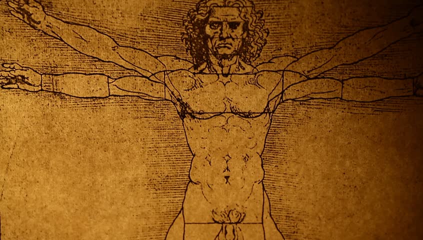 Photo of the Vitruvian Man by Leonardo Da Vinci from 1492
