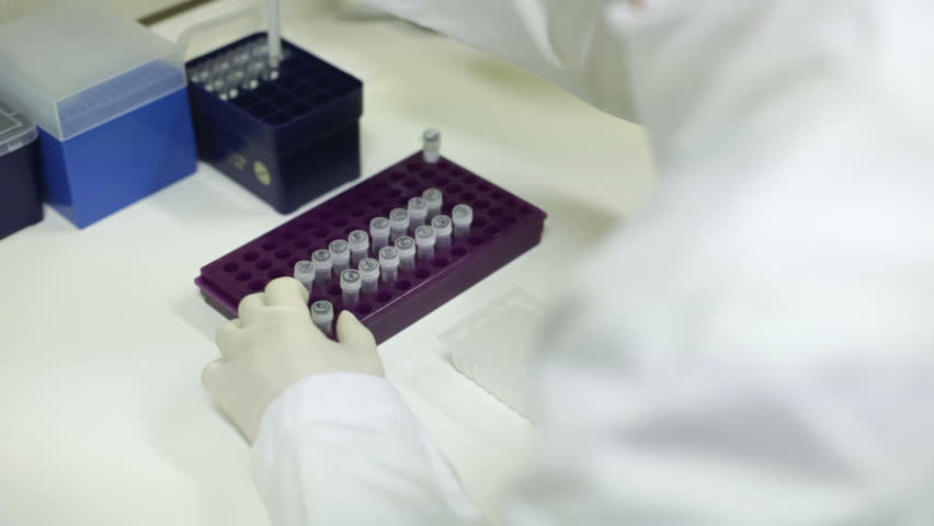 DNA research in the Department of Microbiology in a hospital