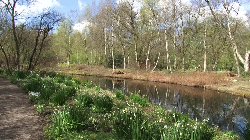 City park in spring, pan footpath - ditch.