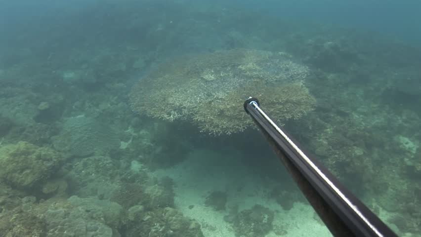 Submerged