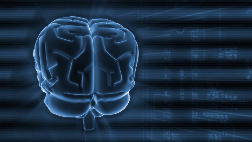 3D rotating brain on software processing background. Perfect loop.