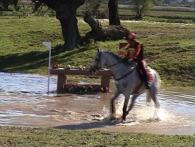 Horseman jumping the fence in the water